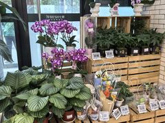 -7fresh七鲜(大族广场店)