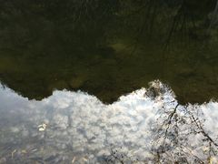 -辛玛王国游乐园