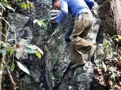 -祁门牯牛降观音堂风景区