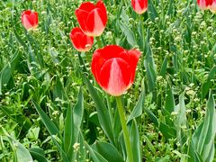 -长春公园(普阳街道)