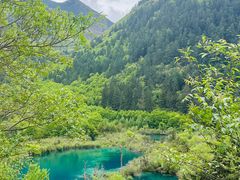 -九寨沟-树正沟