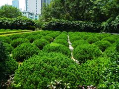 景点-十九路军淞沪抗日阵亡将士陵园