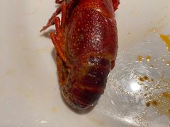 -星伦多自助料理(永旺店)