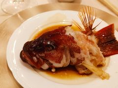 清蒸东星斑-利苑酒家(华熙国际店)
