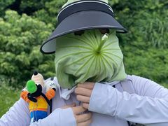 -影珠山