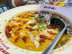 -新渝城·川菜·火锅(区庄店)