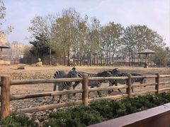 -大连森林动物园