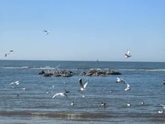 -老虎石海上公园