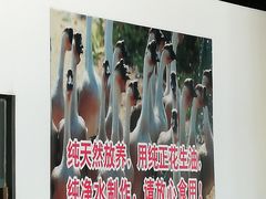 -大自然醉鹅·铁锅火焰鹅(上海联洋店)