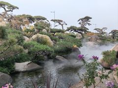 -罗红摄影艺术馆