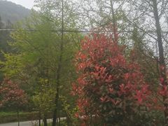 -华蓥山天意谷景区