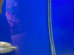 -海合安武汉极地海洋公园