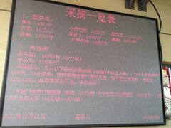 万源龙顺度假庄园采摘园-万源龙顺度假庄园生态观光园