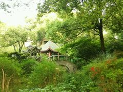 android_upload_pic-申粤轩酒楼·三十年粤菜经典(丁香花园店)