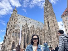 -斯蒂芬主教座堂(Stephansdom)