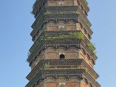 -香山公园