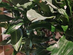 -荷花亭·湖北融合菜(十堰武商MALL店)