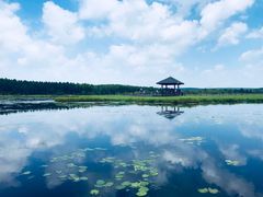 -塞罕坝国家级自然保护区