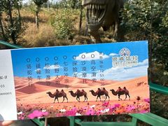 -银肯塔拉沙漠生态旅游景区