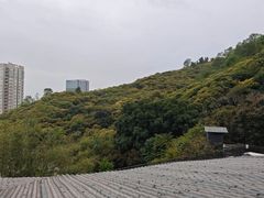 -鲤鱼塘农家山庄