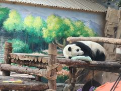 -青藏高原野生动物园
