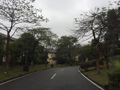 -佛冈森波拉度假区