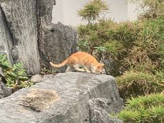 -广州西关永庆坊旅游区