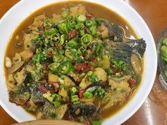 -全乐鱼馆·淳牌有机鱼直营店