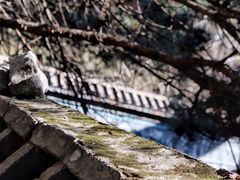 -白水寺森林公园