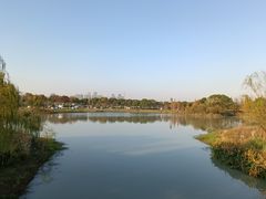 -贡湖湾湿地公园