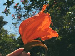 -火炉山森林公园