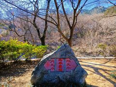 -崂山九水游览区