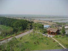 -大湾区中央湿地公园