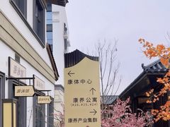 -林栖谷森林康养度假区