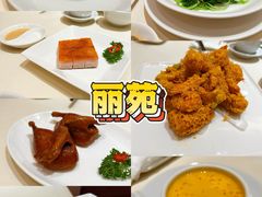 -利苑酒家(华熙国际店)
