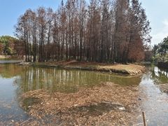 -厦门园林博览苑