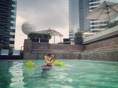 -香港港丽酒店