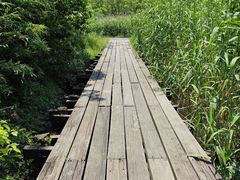 -长田漾湿地公园
