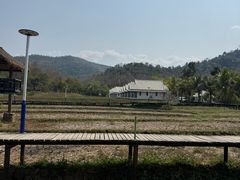-野象谷景区