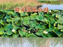-前关湿地公园