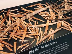 -丹麦国家博物馆