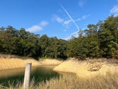 -广州市流溪河国家森林公园