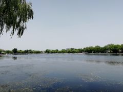 -后海公园