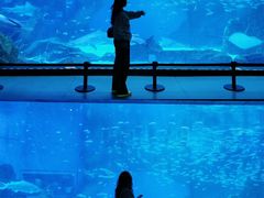 -海合安成都极地海洋公园
