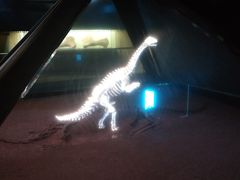 -世界恐龙谷景区