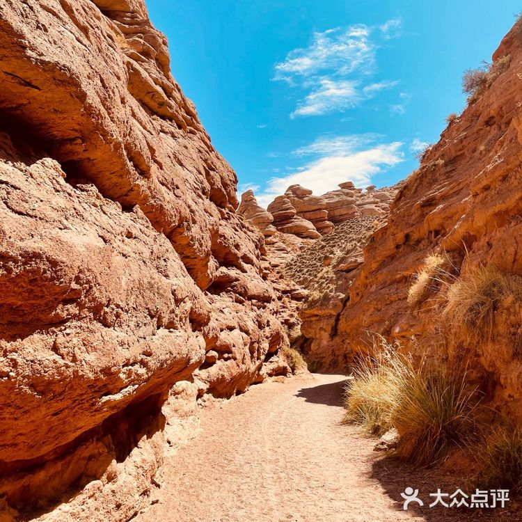 鬼斧神工的自然奇迹|张掖平山湖大峡谷