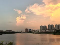 -立新湖公园