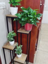 -玛尼瑜伽·普拉提