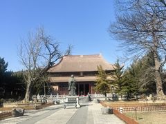 -苏州文庙(姑苏区)