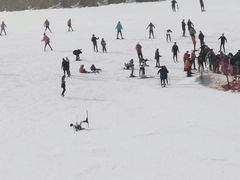 -采薇庄园四季滑雪场